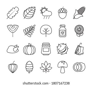 Mais- und Herbstsymbol auf weißem Hintergrund, Linienstil, Vektorgrafik