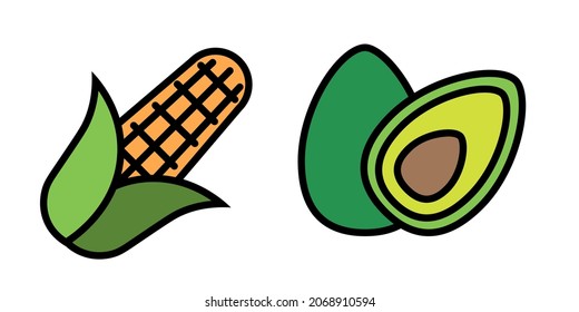corn and avocado. Vector illustration of vegetables. Eco-friendly food. Vegetarian food