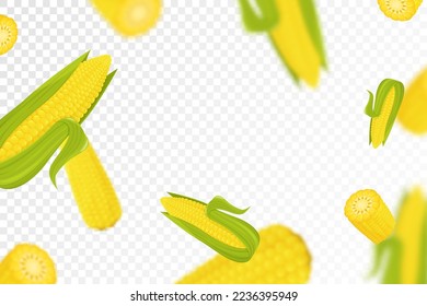 Corn background. Flying fresh yellow ripe corn on transparent background. Flat design. Falling corn, isolated vegetables. Nature product. Vector illustration