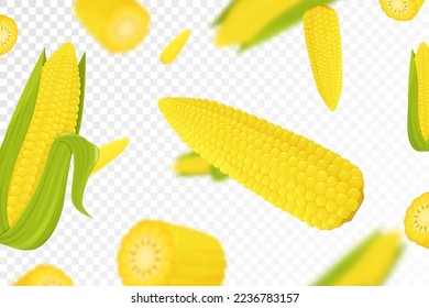 Corn background. Flying fresh yellow ripe corn on transparent background. Flat design. Falling corn, isolated vegetables. Nature product. Vector illustration