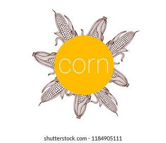 corn banner, hand drawing, isolated on white background, vector illustration