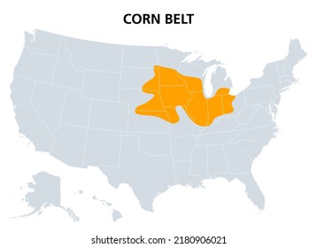 Corn Belt of the United States, political map. The region in the American Midwest where maize is the dominant crop. Most corn grown today is fed to livestock, especially hogs and poultry. Illustration