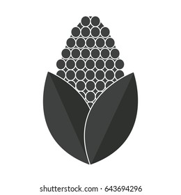 corn bioful alternative energy ethanol pictogram