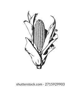 Vector de croquis negro de maíz aislado sobre fondo blanco. Silueta negra del icono de la agricultura del maíz para el diseño. No es IA