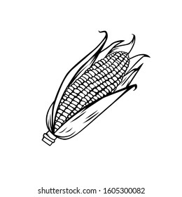 Corn black and white vector for all purpose