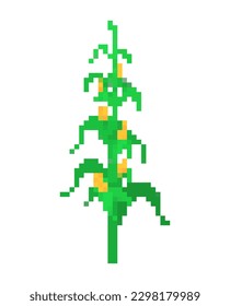 Corn bush pixel art. 8 bit Vector illustration