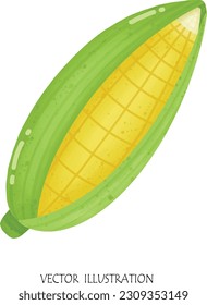 Corn cartoon drawing vector illustration 