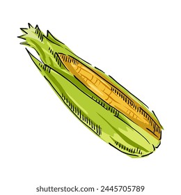 Corn cartoon, Corn On the cob Icon Illustration. Maize Vector drawing Design Clip Art Sign Comic Style