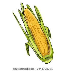 Corn cartoon, Corn On the cob Icon Illustration. Maize Vector drawing Design Clip Art Sign Comic Style