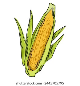 Corn cartoon, Corn On the cob Icon Illustration. Maize Vector drawing Design Clip Art Sign Comic Style