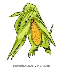 Corn cartoon, Corn On the cob Icon Illustration. Maize Vector drawing Design Clip Art Sign Comic Style