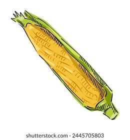 Corn cartoon, Corn On the cob Icon Illustration. Maize Vector drawing Design Clip Art Sign Comic Style