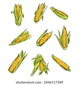 Corn cartoon, Corn On the cob Icon Illustration. Maize Vector drawing Design Clip Art Sign Comic Style