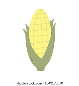 Corn in a cartoon style. Vector image. Isolated on white