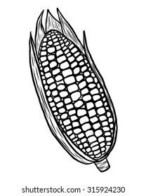 corn / cartoon vector and illustration, black and white, hand drawn, sketch style, isolated on white background.