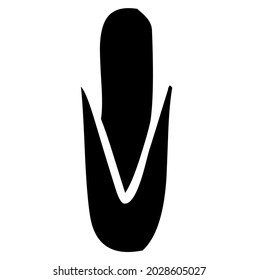 Corn class, vegetable, plant, food, vector, illustration in black and white color, isolated on white background 