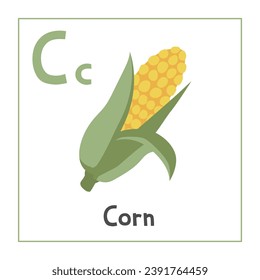 Corn clipart. Corn vector illustration cartoon flat style. Vegetables start with letter C. Vegetable alphabet card. Learning letter C card. Kids education. Cute corn vector design