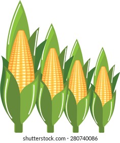 Corn Cob