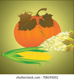 corn in the cob - bunch of white grapes - pumpkin yellow-orange - abstract light background - art creative illustration vector