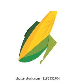 corn cob cereal grain leaves