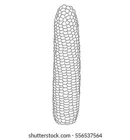 corn cob contour on white background of vector illustrations