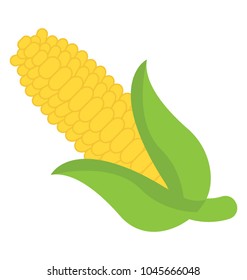 A corn cob ear with green leaves concept of vegetable and agriculture ripe harvest 