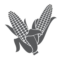corn cob emblem isolated on white background