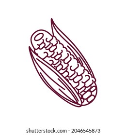 corn cob food icon isolated