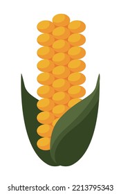 corn cob fresh vegetable icon