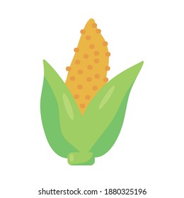 diseño de ilustraciones vectoriales de la naturaleza vegetal fresca de la mazorca de maíz