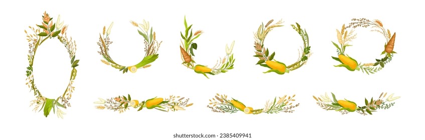 Conjunto de vectores de composición agrícola de maíz y grano