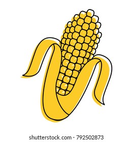 corn cob grain harvest raw icon