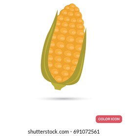 Corn cob for grill color flat icon for web and mobile design