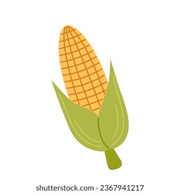 Corn cob  Hand