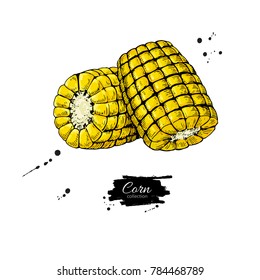 Corn cob hand drawn vector illustration.  Detailed vegetarian food drawing. Farm market product. Great for menu, label, icon. Isolated Vegetable object.