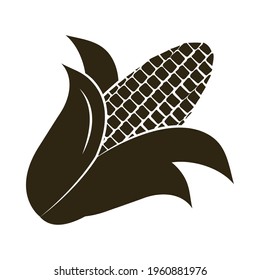 corn cob icon on background