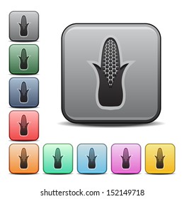 Corn Cob Icon Square Vector Icon with Color Variations