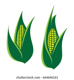 Corn cob icons isolated on a white background