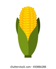 corn cob isolated icon design, vector illustration  graphic 
