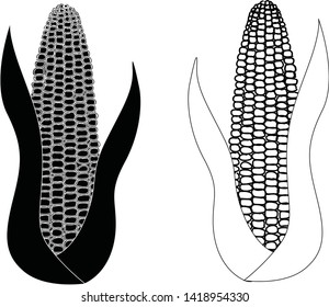 corn cob isolated on white background vector eps 10