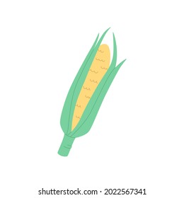 Corn cob isolated on white, cute vector illustration.