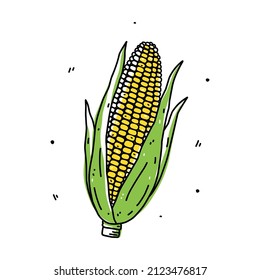 Corn cob isolated white background  Organic healthy food  Vector hand  drawn illustration in doodle style  Perfect for cards  logo  decorations  recipes  various designs 