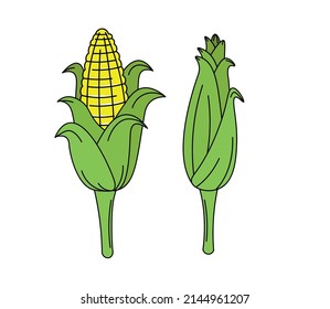 La mazorca de maíz aislada en un fondo blanco en un estilo plano. El concepto de agricultura y agricultura.