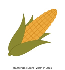 Corn cob isolated on white background. Fresh sweet maize. Harvest season. Vegetable, organic food. Vector flat illustration