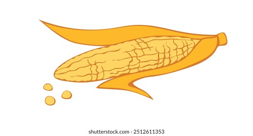 Corn cob isolated on white background. Organic healthy food. Vector color hand-drawn illustration in doodle style. Perfect for cards, logo, decorations, recipes, various designs.