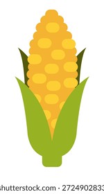 Mazorca de maíz aislada sobre fondo blanco Plantilla de Vector
