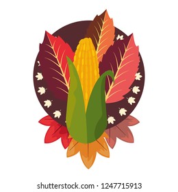 corn cob leaves foliage on white background
