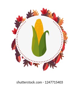 corn cob leaves label sticker