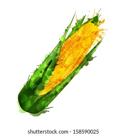 Corn cob  made of colorful splashes on white background 