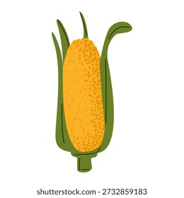 Corn cob maize vegetable illustration showing ripe yellow kernels with green husk in flat style. Food illustration suitable for cooking.
